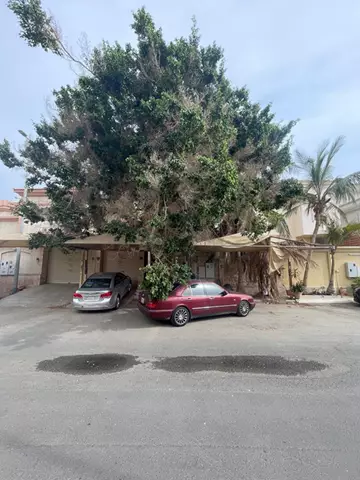 فيلا دبلكس للبيع في حي المحمدية