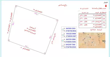 للبيع أرض زراعية في العمارية